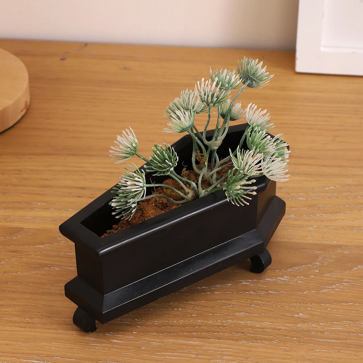 Coffin Mini Planter with Drainage for Succulents