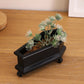 Coffin Mini Planter with Drainage for Succulents