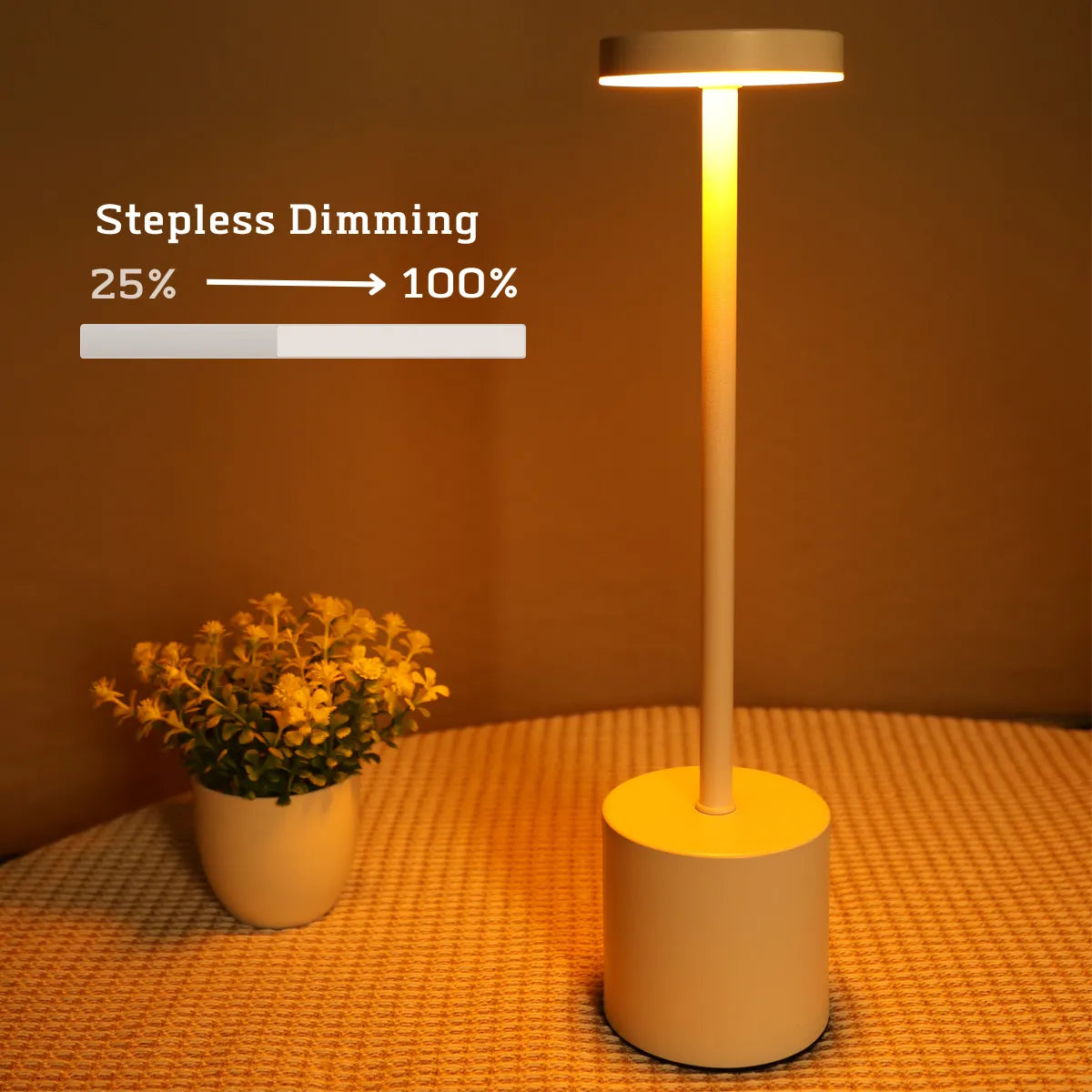 Rechargeable Touch LED Metal Table Lamp for Bar