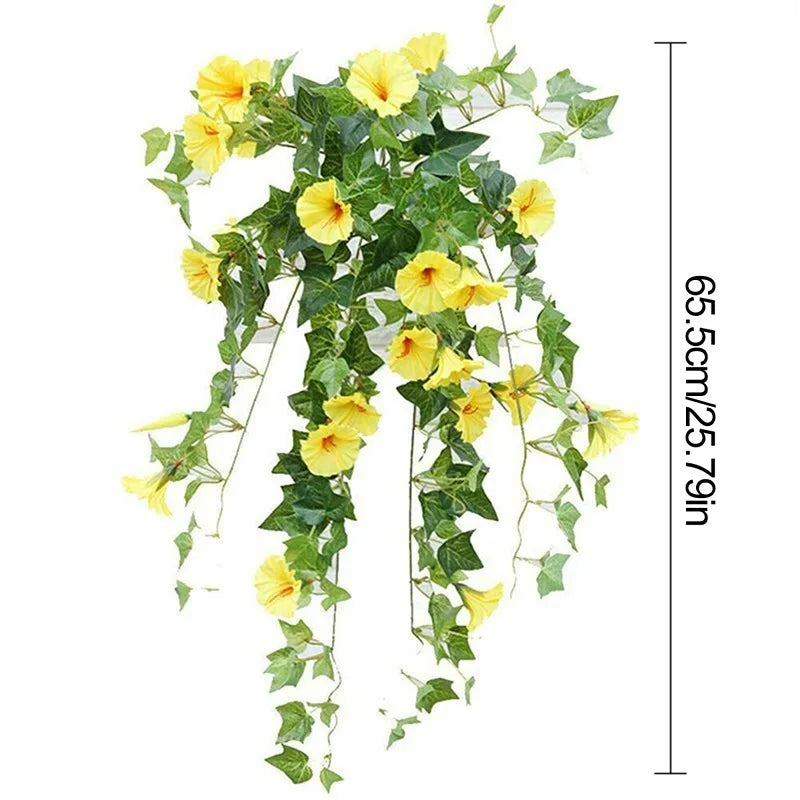 12 Fork Morning Glory Hanging Plants for Outdoors