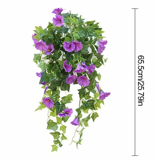 12 Fork Morning Glory Hanging Plants for Outdoors