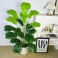 60/120cm Artificial Ficus Tree for Interior Decoration