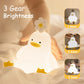 Timer-Controlled Duck Night Light