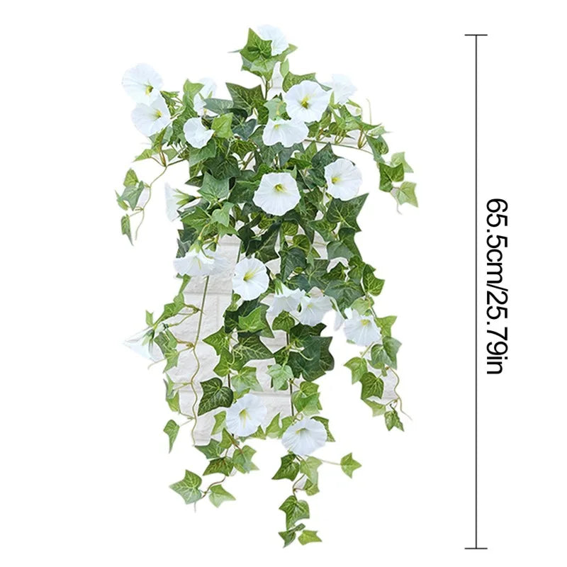 12 Fork Morning Glory Hanging Plants for Outdoors