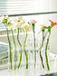 Hanging Glass Vase Tubes for Home Decor