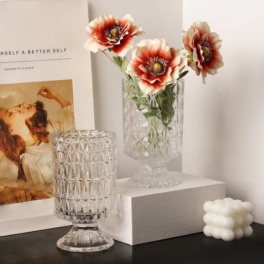 Transparent Glass Vase for Living Room Decor, Hydroponic Flower Arrangement