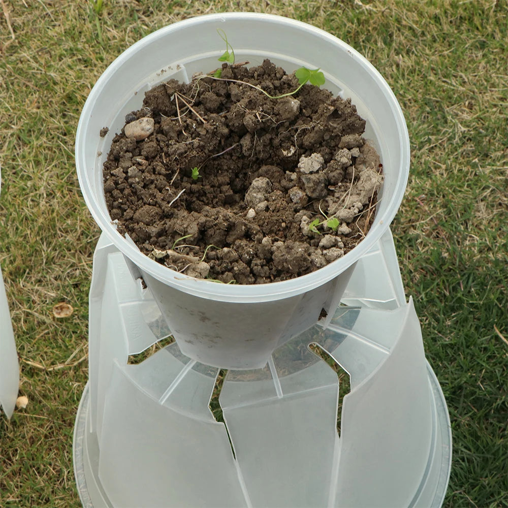 Seedling Planter with Clear Root Control