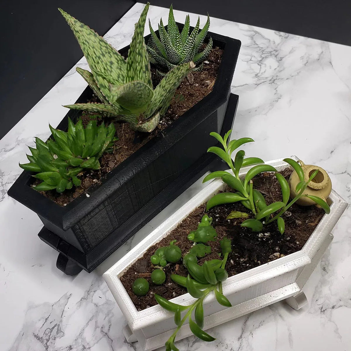 Coffin Mini Planter with Drainage for Succulents