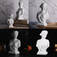 Classic Roman Bust Venus Resin Statue