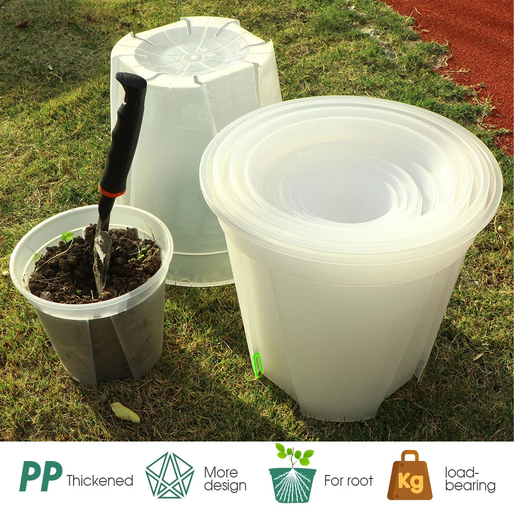 Seedling Planter with Clear Root Control