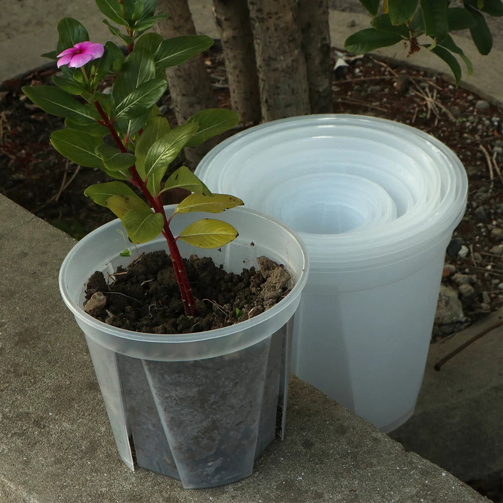 Seedling Planter with Clear Root Control