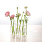 Hanging Glass Vase Tubes for Home Decor