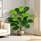 60/120cm Artificial Ficus Tree for Interior Decoration