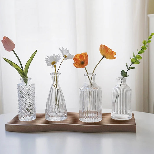 Transparent Glass Vase for Aromatherapy and Home Decor