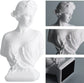 Classic Roman Bust Venus Resin Statue