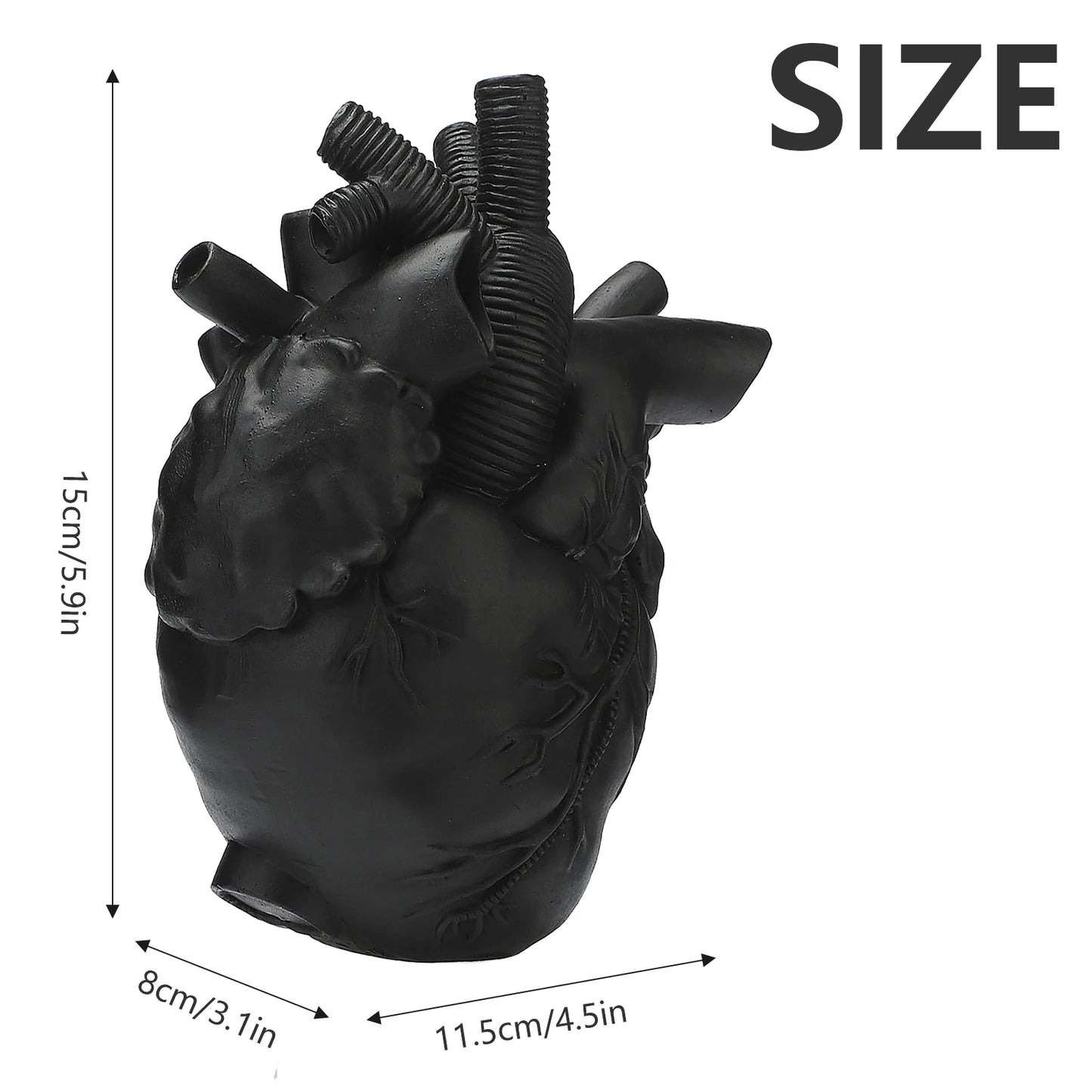 Anatomical Heart Shaped Flower Vase Decor