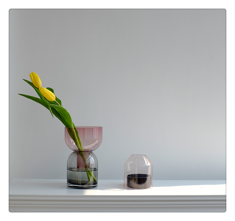 Nordic  Two Ways Glass Flower Vase Succulent Planter