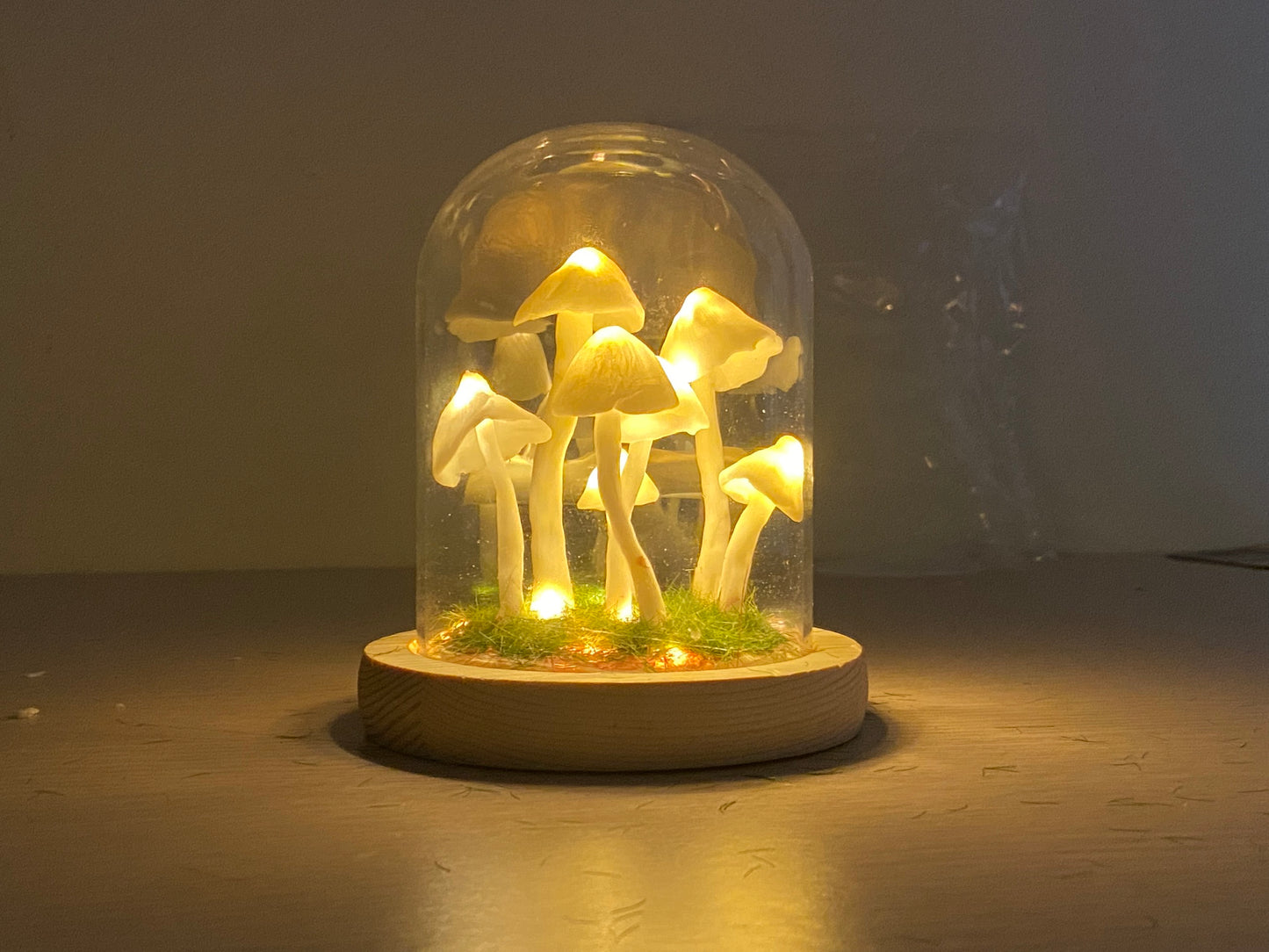 Handmade Mushroom Lamp Mushroom Night Light DIY Kit