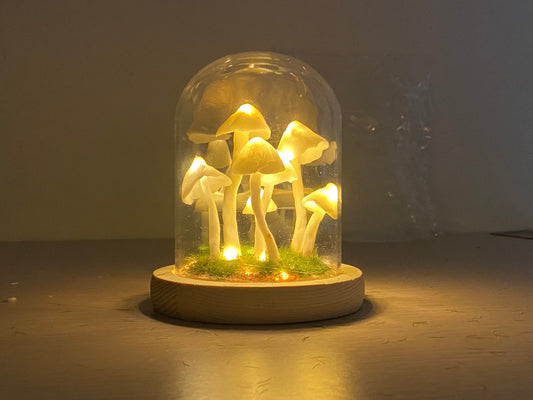 Aesthetic Fat Mushroom Ripple Glass Cup – Nazmeen Decor