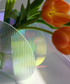 Aesthetic Rainbow Acrylic Abstract Flower Vase