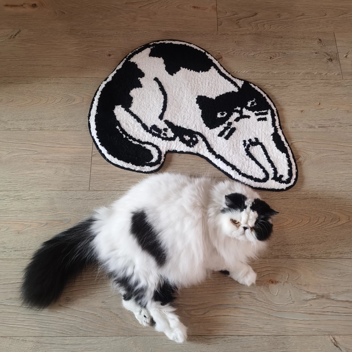 Anti-slip Fluffy Cat Shaped Rugs 50x65cm