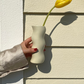 Nordic Minimalist French Matte Ceramic Twist Vases
